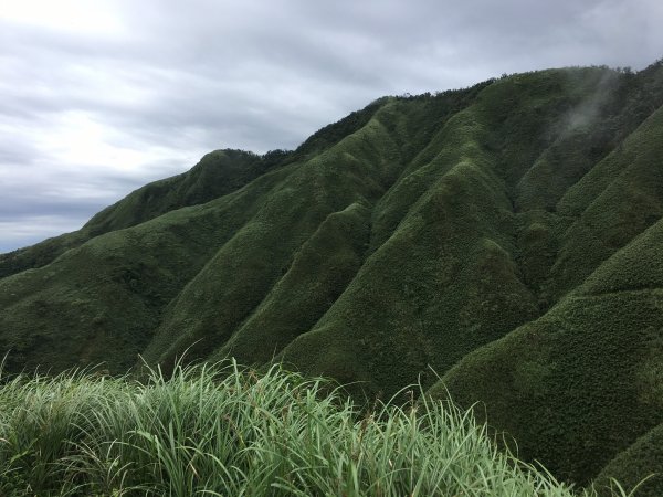 宜蘭聖母山莊步道(抹茶山)1079012