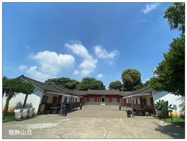 樟普寮山、藤山步道、微熱山丘3107231