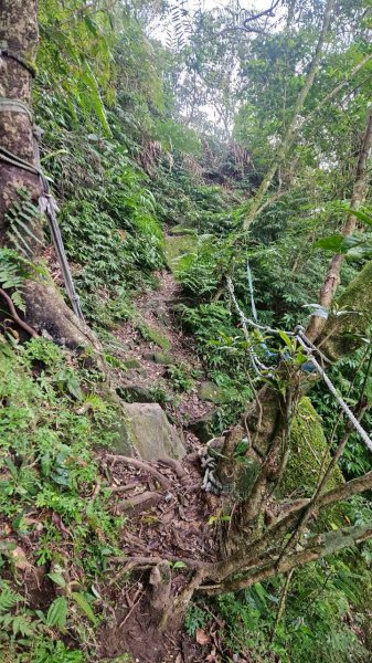 20260118五四縱走2984050