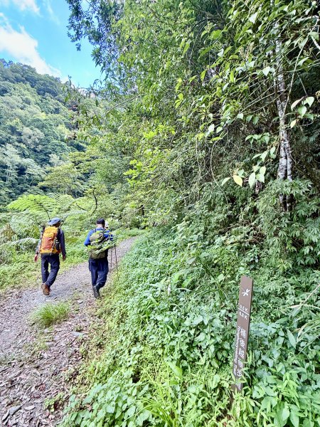 桶後越嶺道悠遊（烏來－礁溪）    2025.7.52827977