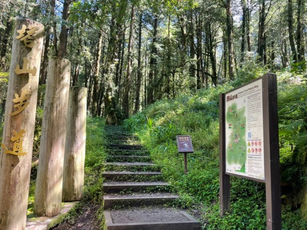 小百岳(59)-大塔山-202209251878707