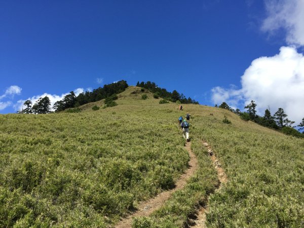 首次單攻之旅_志佳陽大山424565