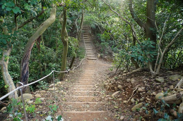 新竹 新埔 犁頭山、吧哩國山、石頭坑山2936764