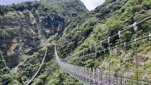 《南投》氣勢磅礡｜信義雙龍瀑布七彩吊橋202407012539618