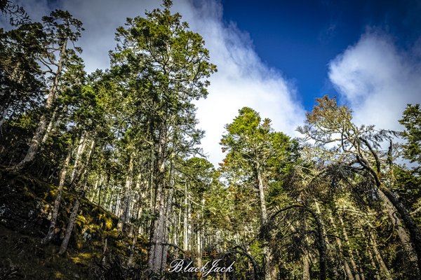 雪山主峰一日單攻963334