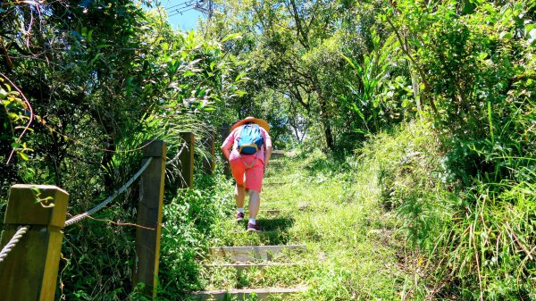 微笑山線烘爐地土地公段2860652