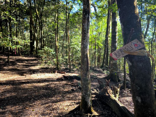 2025-12-21 武界山、獅凸魯山、橫屏山、橫屏山西峰2969687