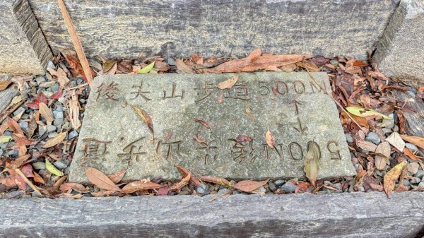 後尖山步道3008298