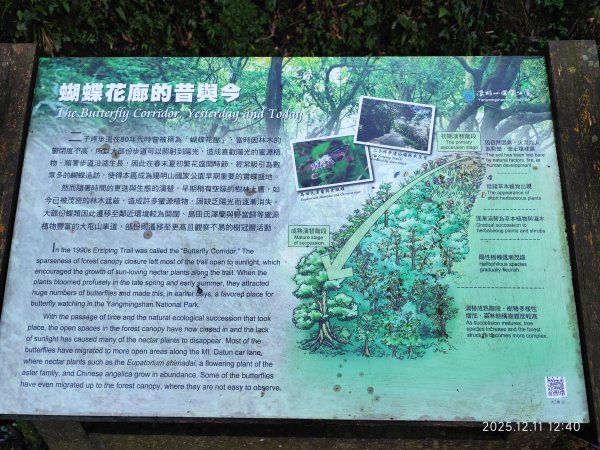 【臺北大縱走 2】【第二回合全程完成證書】鞍部→大屯山步道→大屯山主峰→大屯坪步道→二子坪步道2960420