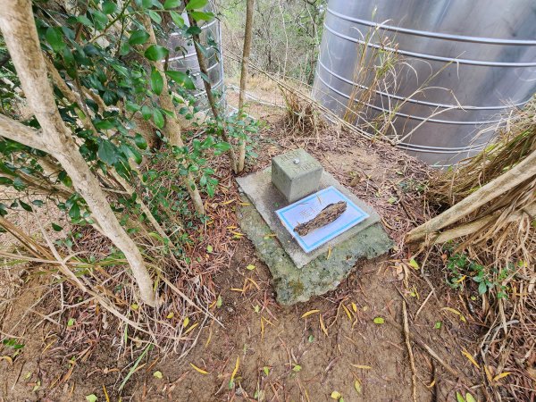 20260301濫坑山與鹿廚坑山3027258