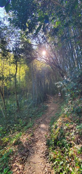 2025-01-30瑞太古道2704364