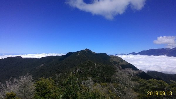 我的百岳行-文章不療山水癖身心每被野雲羈590354