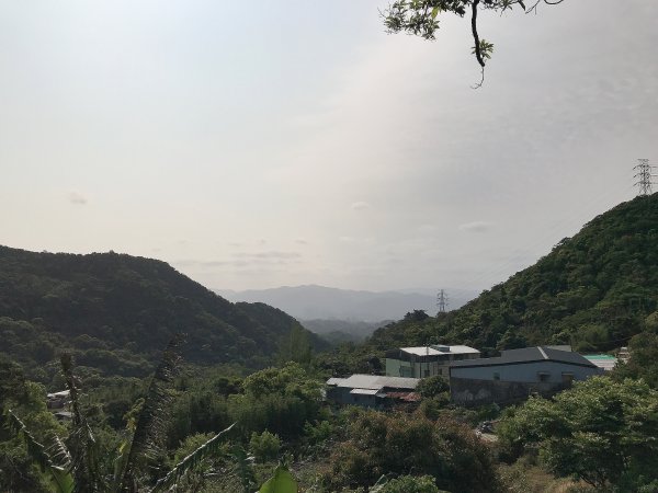~  臺北大縱走  第五段  ~1335019