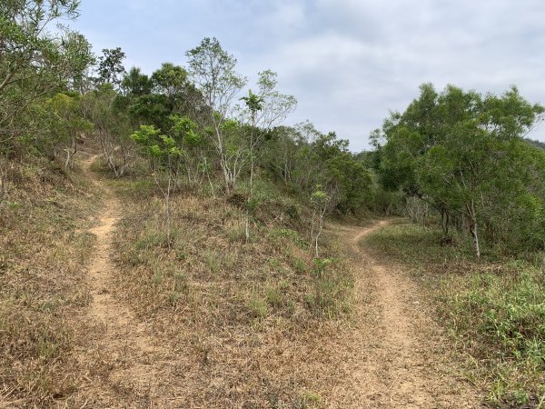 20250404屏東北獅子頭山-霧里乙山2757422
