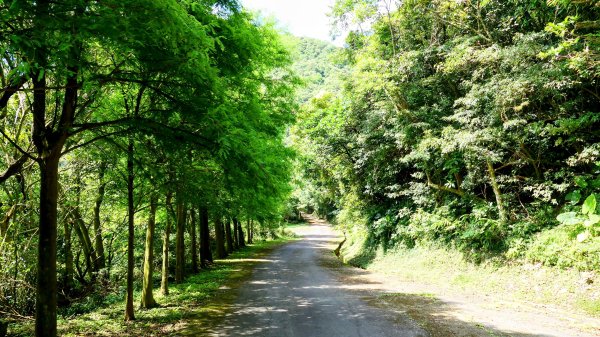 南勢坑小尖,大尖2816054