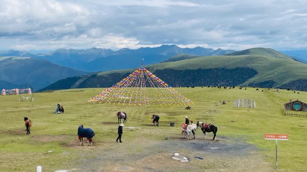 西藏♥️可愛動物🐎人物寫真/拉薩旅拍/美食2902941