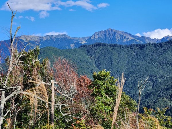 【中級山縱走】羅馬縱走，走進神木的夢幻童話森林世界2943255