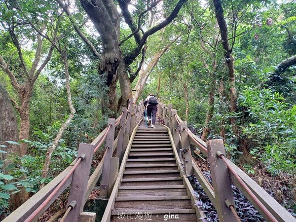 【台中潭子】爬山野餐趣。 新田登山步道x聚興山2899209