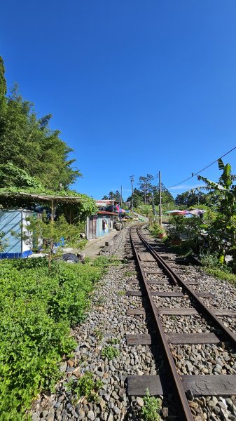 【絕版路線請勿跟進】十字路走得恩亞納-大O繞13.4K2791546