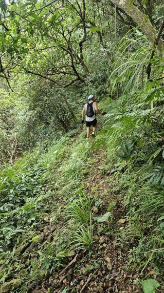 20250715玉田古道-八斗坑內古道2837731