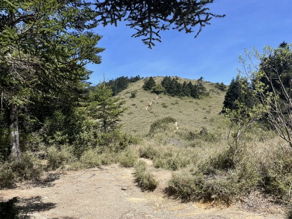 合歡北、西峰(三訪)113.04.212492807