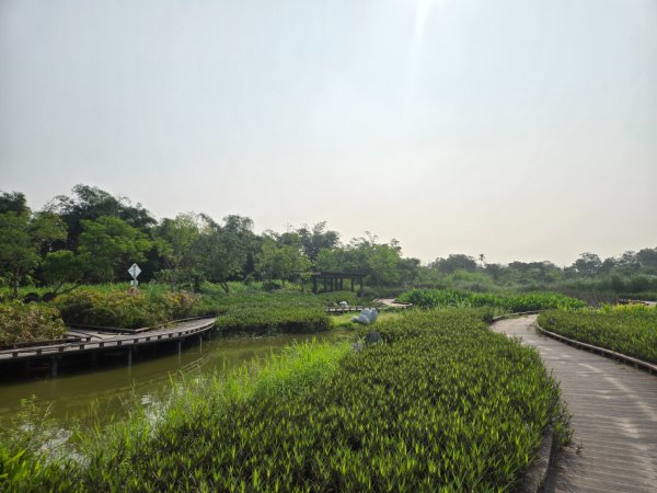 觀音湖3038273