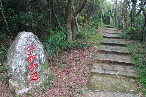 短小湖口仁和步道202003181190356