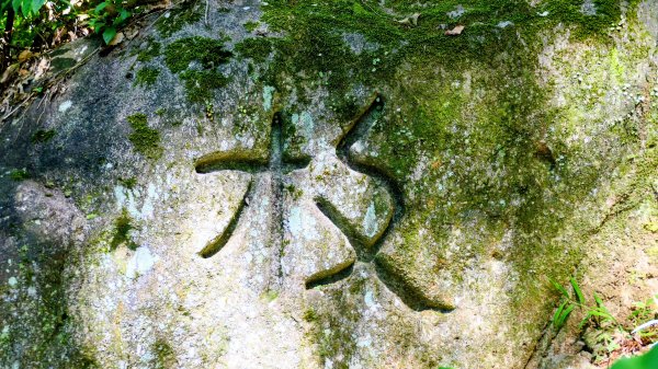 陽明山16草原之西線8草原2904060