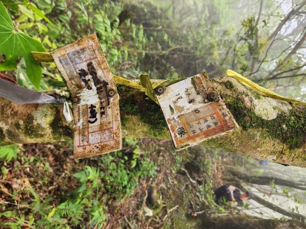 【中級山縱走】魯壁山，東穗山，大島田山，宇老觀景台2771646