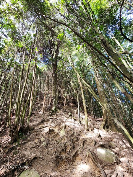 稍來山雲海美景 屋我尾集熊去2002854