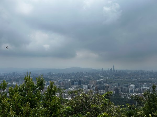 內湖金面山2811755