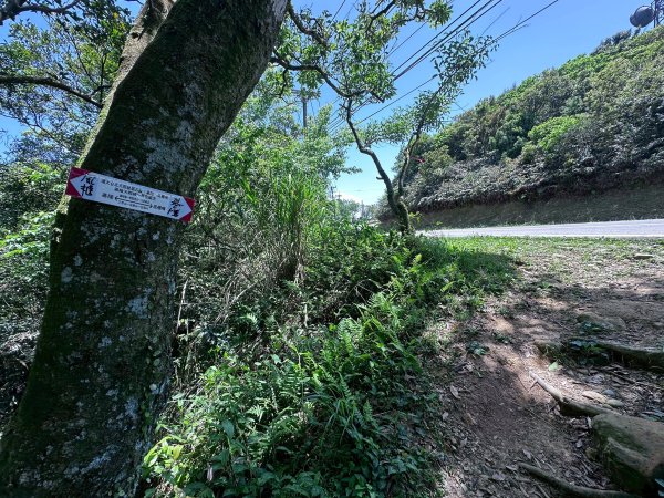 台北大縱走第四段2766853