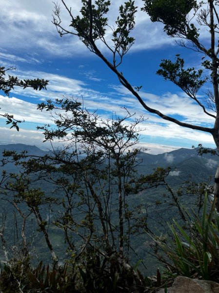 寬大好走的東卯山步道1840561