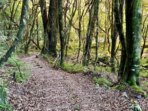 船型山環走大雪山210林道2978022