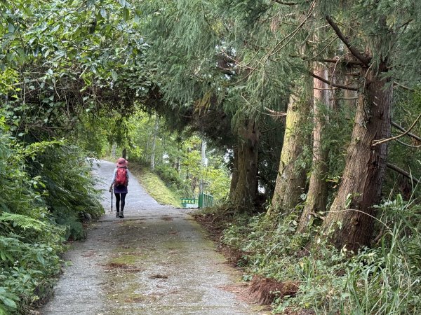 塔曼山 連走 拉拉山森林遊樂區 O繞 202510112923650