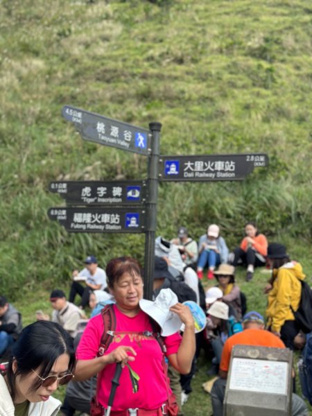 草嶺古道之芒花季2362424