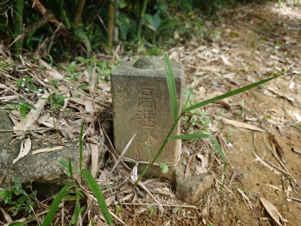 [淡蘭古道] 2026_0523 南路第一段_土地公嶺古道3069443