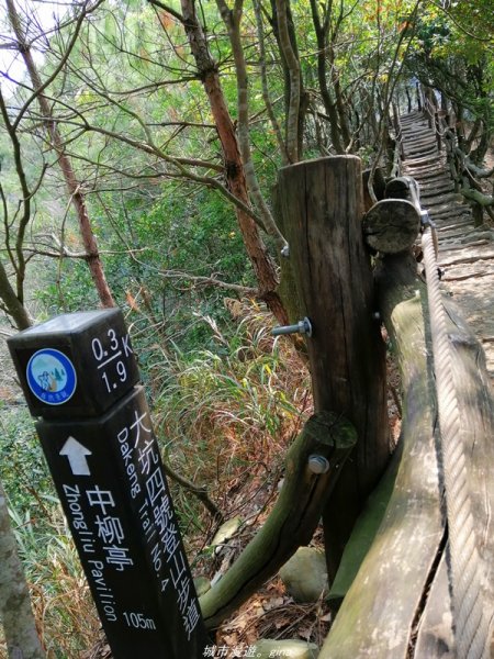 【台中。北屯】台灣百大必訪步道。 大坑四號步道1338780