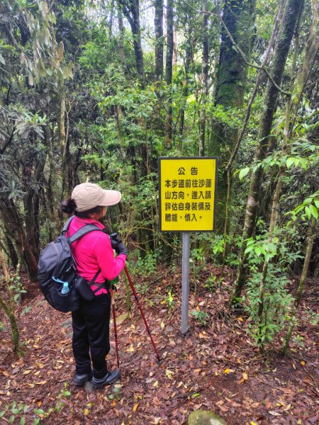 橫沙笛/橫嶺山、沙蓮山、笛吹山2799358