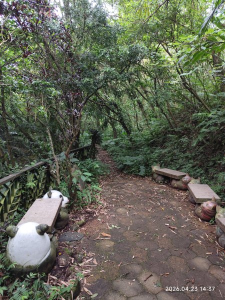 【臺北大縱走7】樟山寺→樟樹步道→指南宮貓空步道→壺穴步道→茶展中心步道→大成殿步道→指南宮千階步道3042072