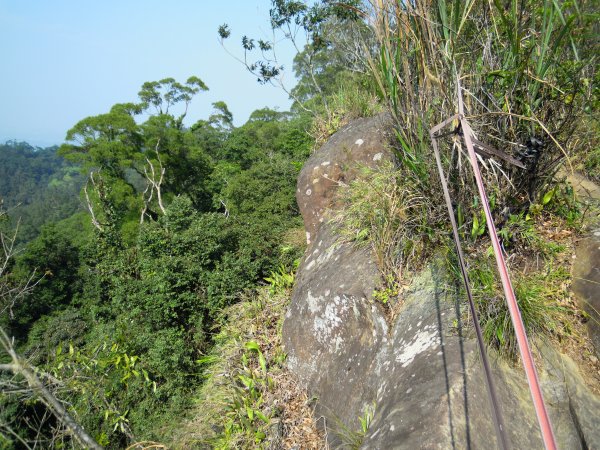 白石山_虎頭蜂窩201002261957718