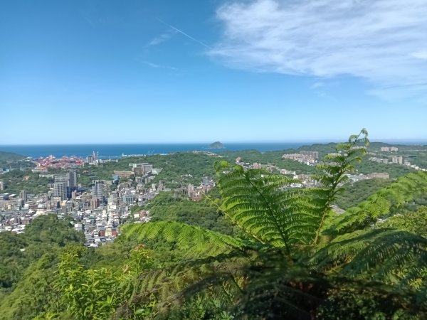 基隆市金交椅山+金交椅南峰+紅淡山東北峰、北北峰、北峰+紅淡山+厲翼嶺出三坑車站2903177