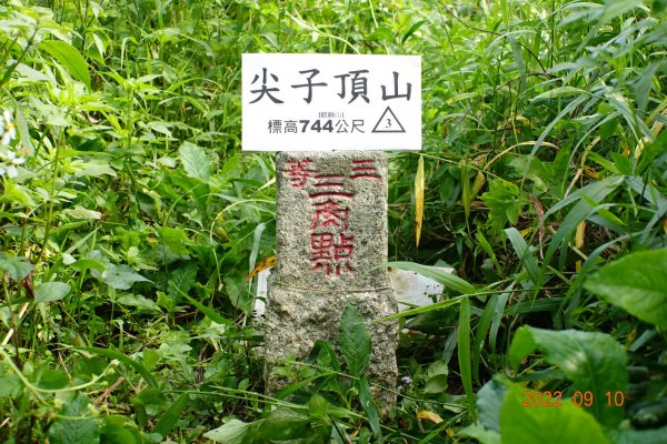 南投 鹿谷 尖子頂山(麒麟山)1841778