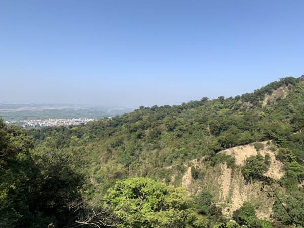 20250322南投松柏坑山-大棚山2745848