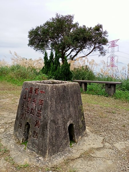 【小百岳集起來】土庫岳芒花飄逸、楓紅絢麗1221977