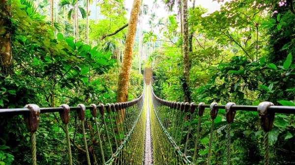 華山小天梯,情人橋2948586