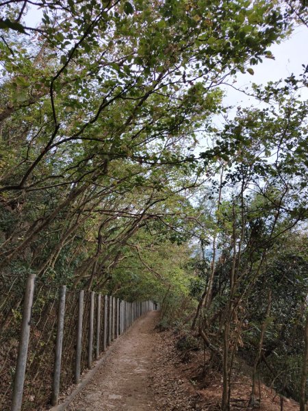 2023.12.24 高雄壽山2835319