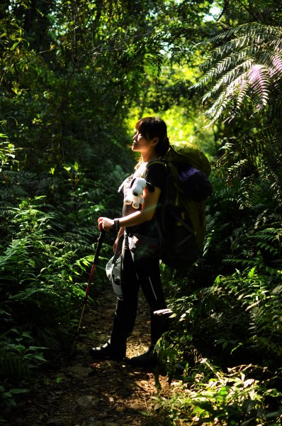 花好月圓松蘿湖686223