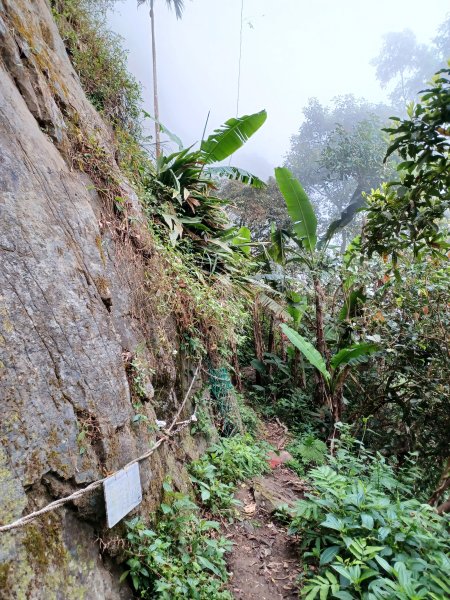 【台南白河】雞籠山+九龍山+大凍山O繞縱走2797142