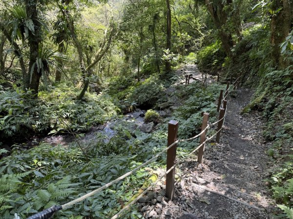 2025/03/21 聖母山莊 抹茶山 三角崙山2935101